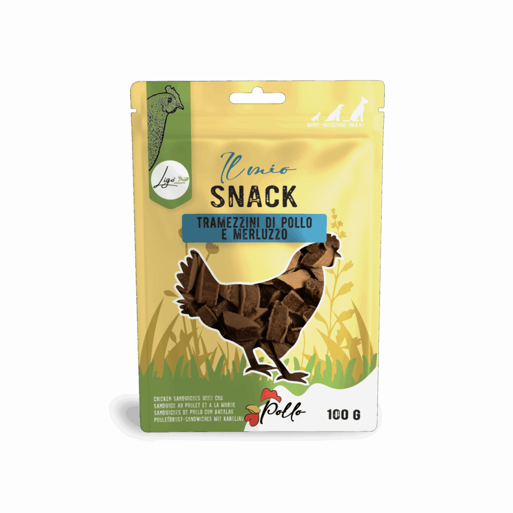 Negozio Di Immagine Primaria Negozio Di Immagine Primaria