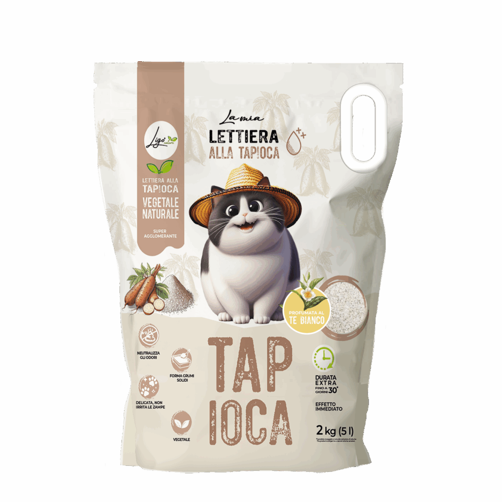 Negozio Di Immagine Primaria