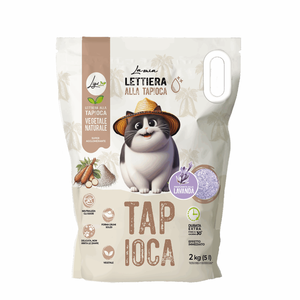 Negozio Di Immagine Primaria