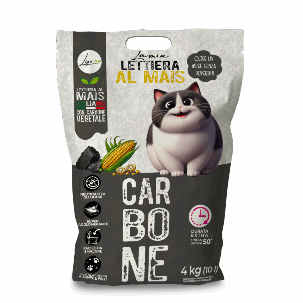 Negozio Di Immagine Primaria