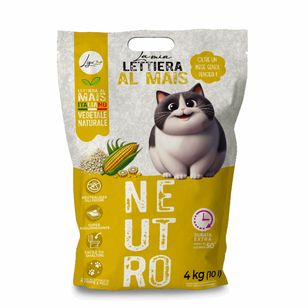 Negozio Di Immagine Primaria